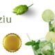 sodziu