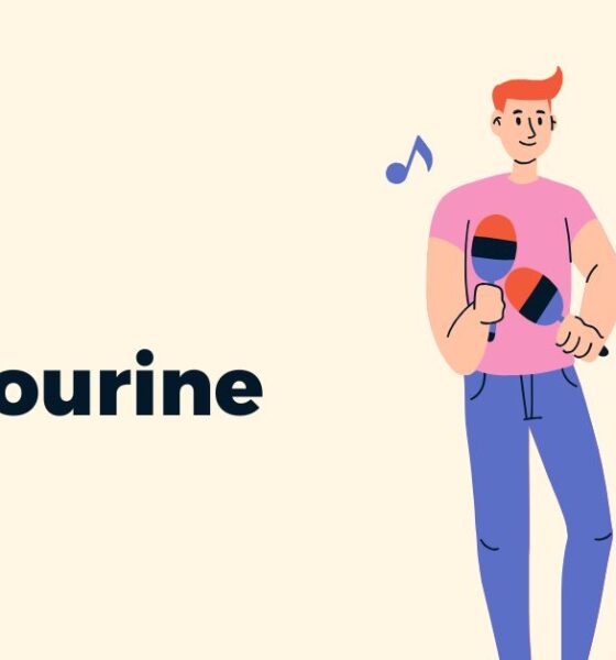 tambourine